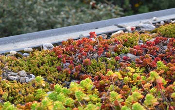 the cost of Cwmsyfiog green roof installation