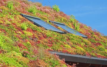Cwmsyfiog living roof systems
