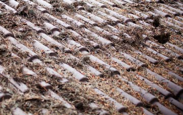 Cwmsyfiog roof cleaning companies