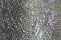 Cwmsyfiog fibreglass roof work